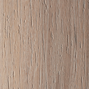 Wood essence Elm - View products