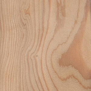 Wood essence Larch - View products